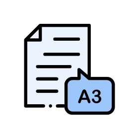 A3